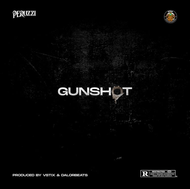 download Peruzzi – Gunshot mp3