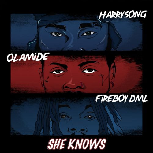 Harrysong – She Knows