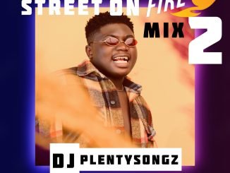 DJ PlentySongz Street On Fire Mix 2