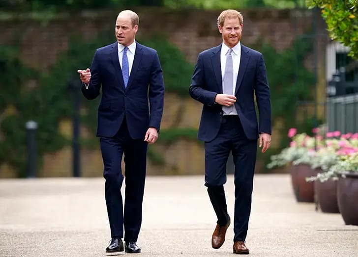 “I Was Born To Donate Organ, Blood To Williams” – Prince Harry Reveals